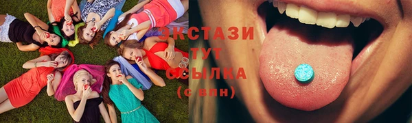 молекула духа Елизово