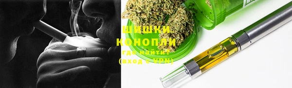 молекула духа Елизово