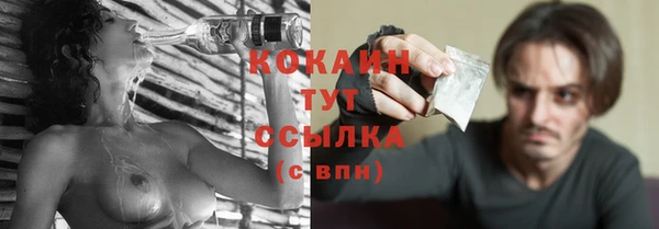 молекула духа Елизово
