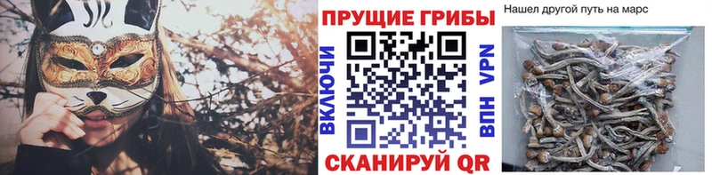 купить наркоту Ивантеевка Псилоцибиновые грибы мухоморы